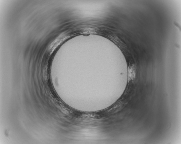 X0000101430291200807281007