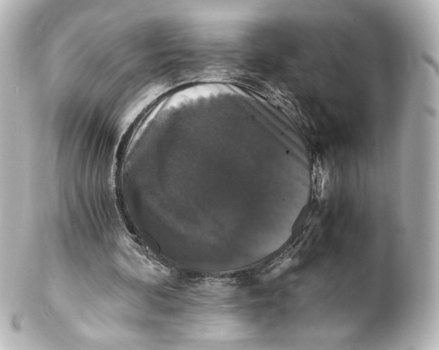 X0000101430292200807281007