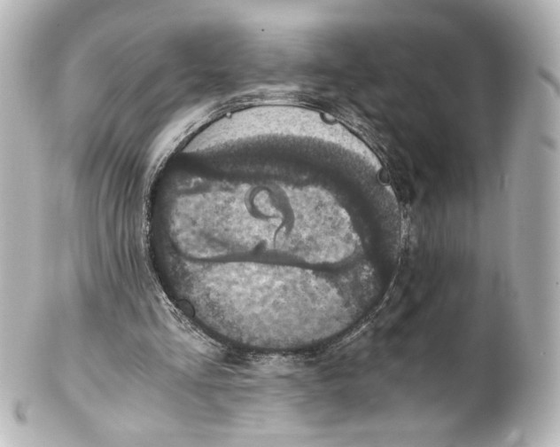 X0000101430293200807281007