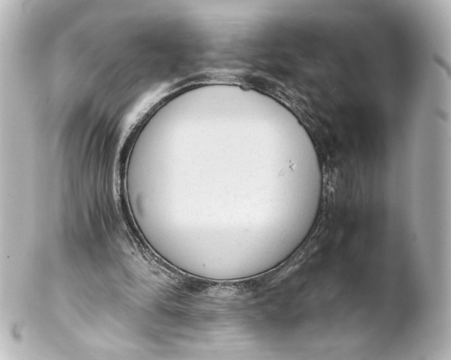 X0000101430294200807281007