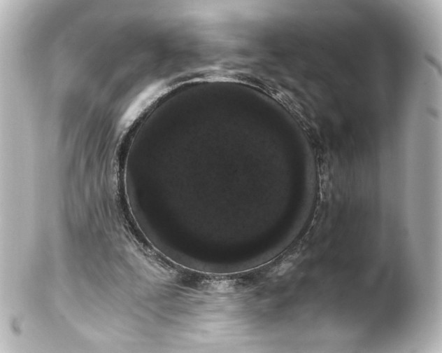 X0000101430295200807281007