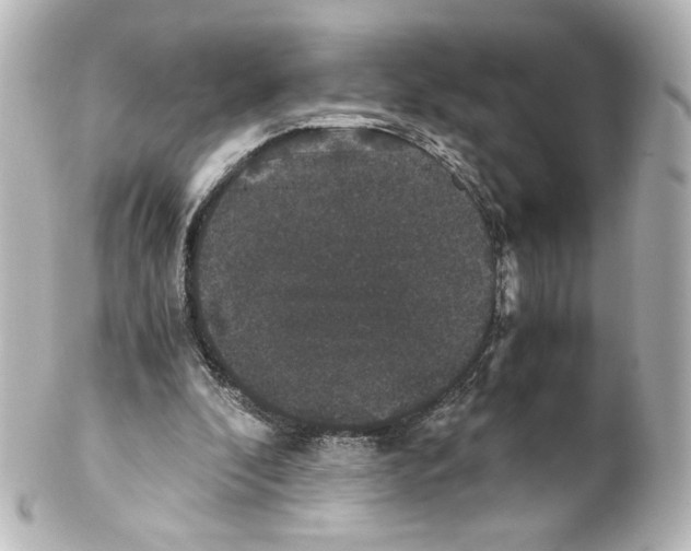 X0000101430296200807281007