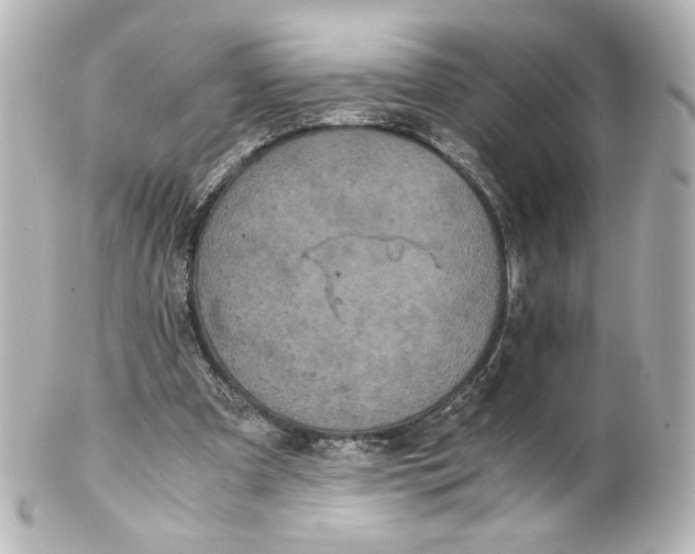 X0000101430297200807281007