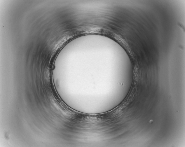 X0000101430298200807281007