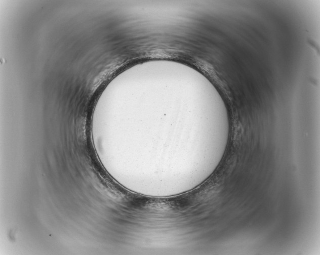 X0000101430299200807281007