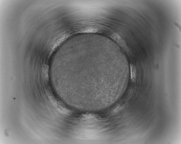 X0000101430300200807281007