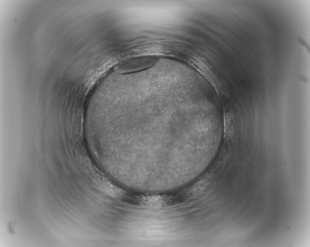 X0000101430301200807281007