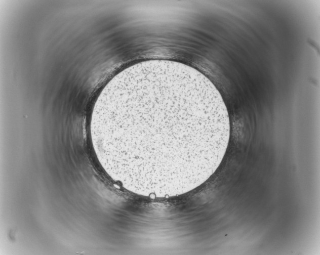 X0000101430302200807281007