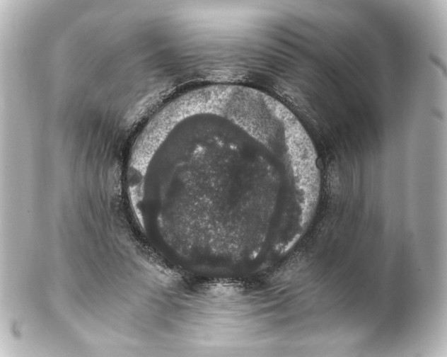 X0000101430303200807281007