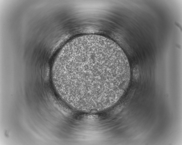 X0000101430304200807281007