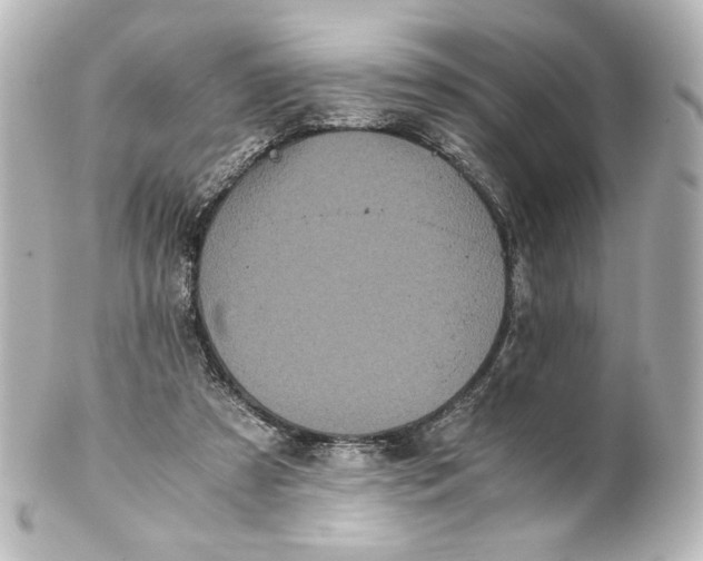 X0000101430305200807281007