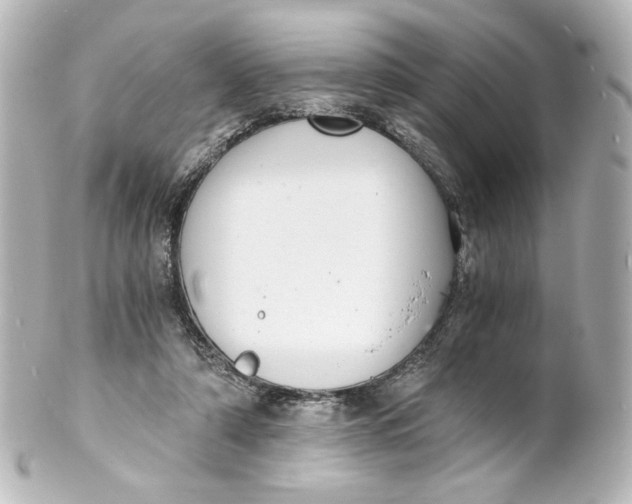 X0000101430306200807281007