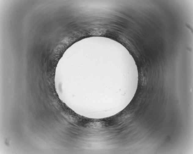 X0000101430307200807281007