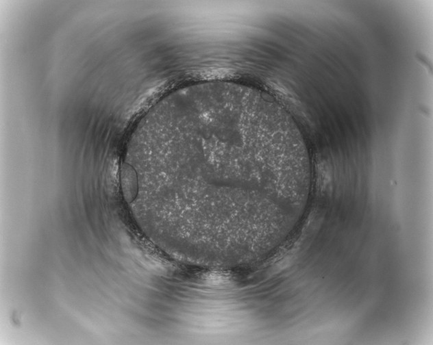 X0000101430308200807281007