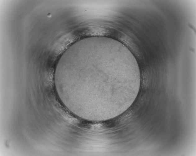 X0000101430309200807281006