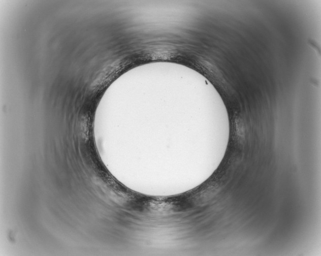 X0000101430311200807281006