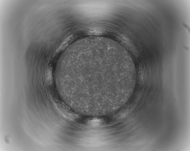 X0000101430312200807281006