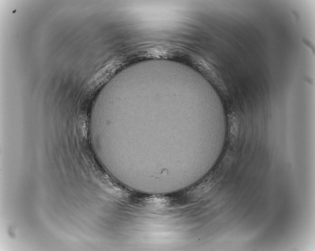 X0000101430313200807281006