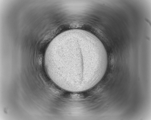 X0000101430315200807281006