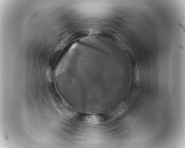 X0000101430316200807281006