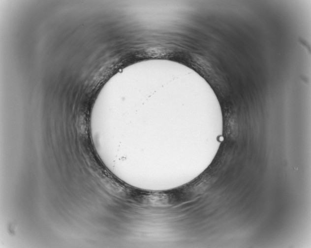 X0000101430317200807281006