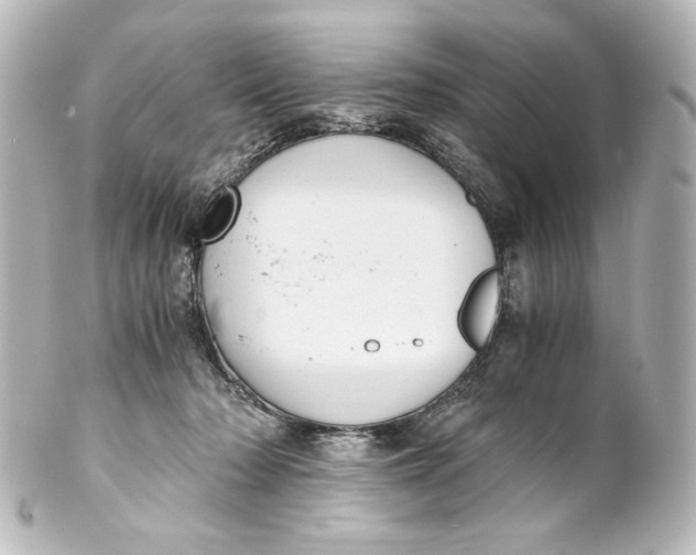 X0000101430318200807281006