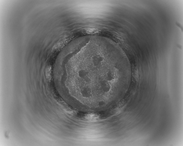 X0000101430319200807281006