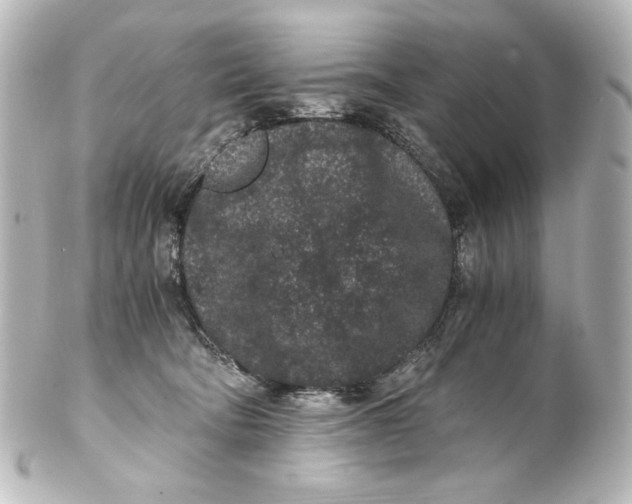 X0000101430322200807281006