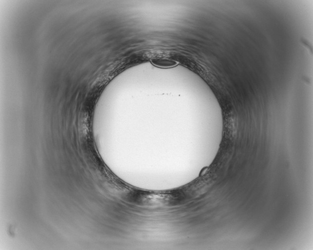 X0000101430323200807281006