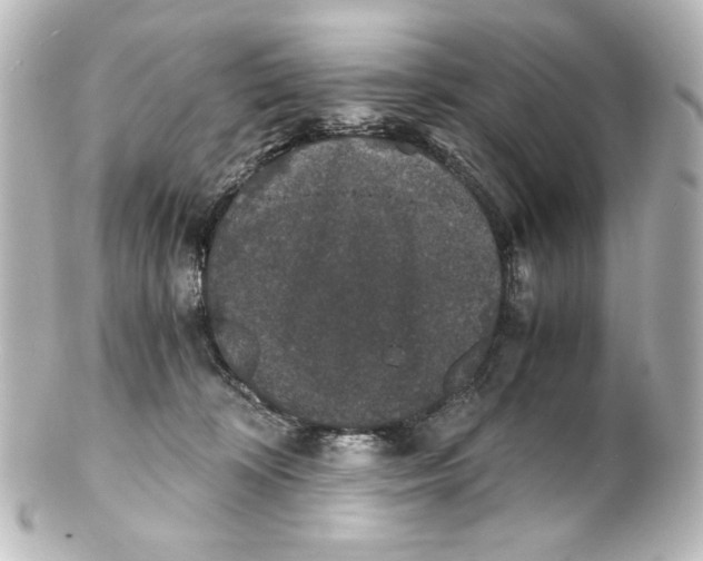 X0000101430324200807281006