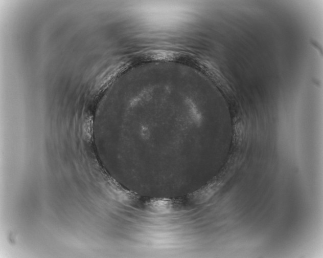 X0000101430325200807281006