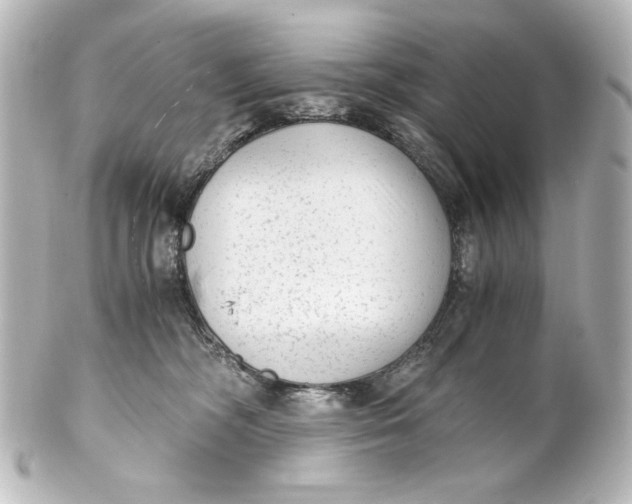 X0000101430326200807281006