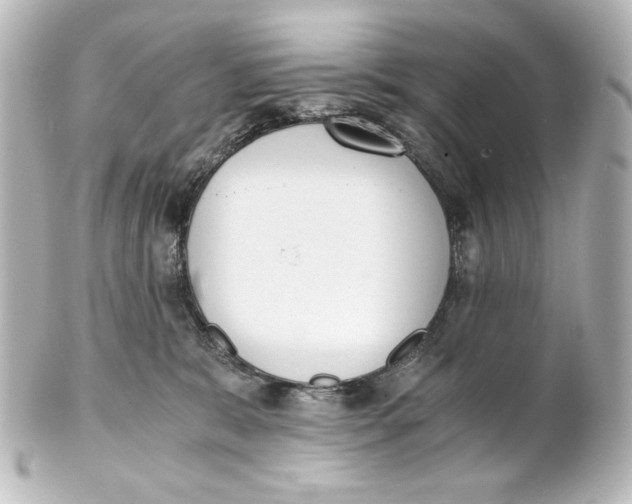 X0000101430327200807281006