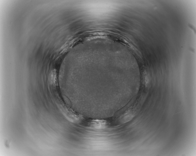 X0000101430328200807281006