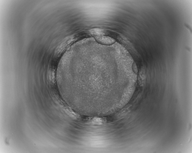 X0000101430330200807281006