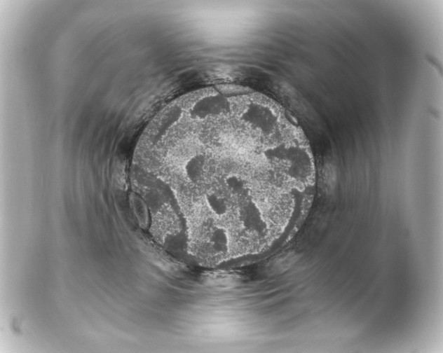 X0000101430331200807281006