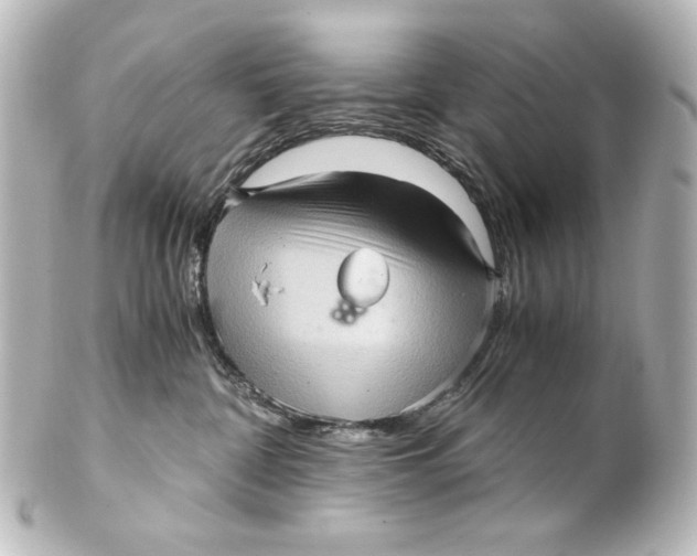 X0000101430332200807281006