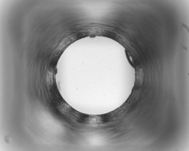 X0000101430333200807281006