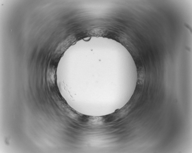 X0000101430334200807281006