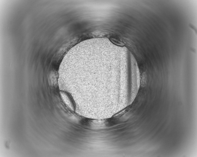 X0000101430335200807281006