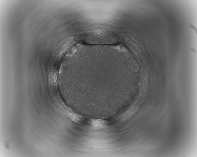 X0000101430336200807281006