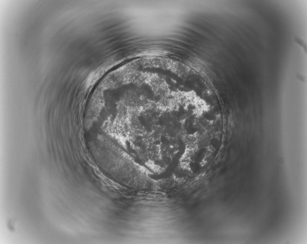 X0000101430337200807281005