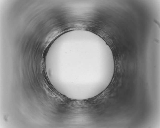 X0000101430338200807281005