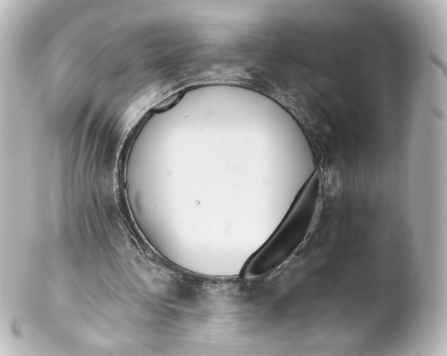 X0000101430340200807281006