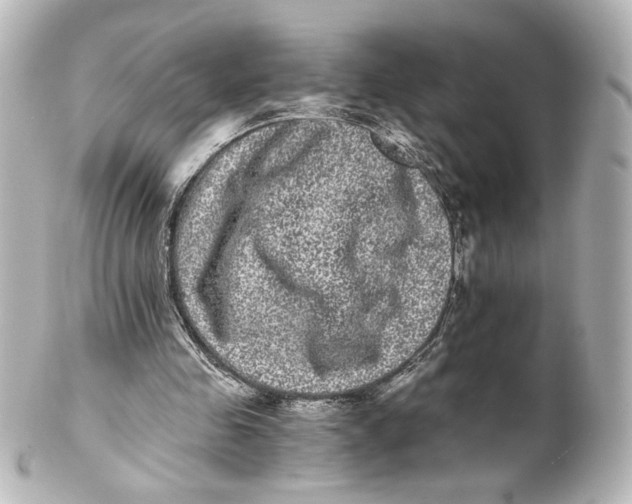 X0000101430341200807281006