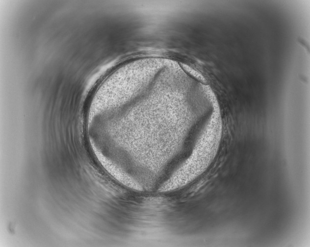 X0000101430342200807281006