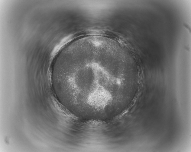 X0000101430343200807281006