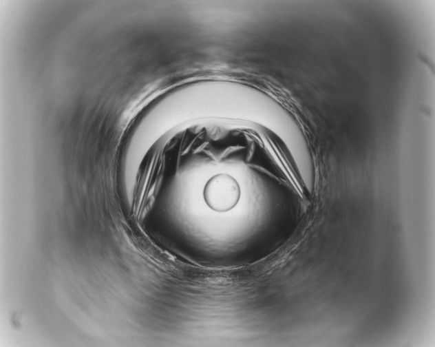 X0000101430344200807281006