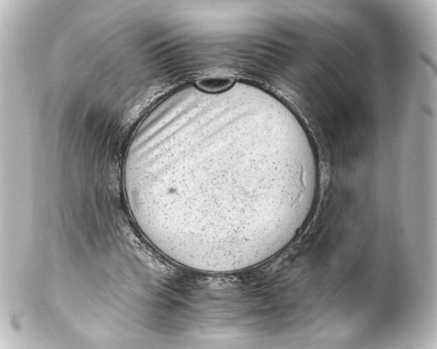 X0000101430345200807281006