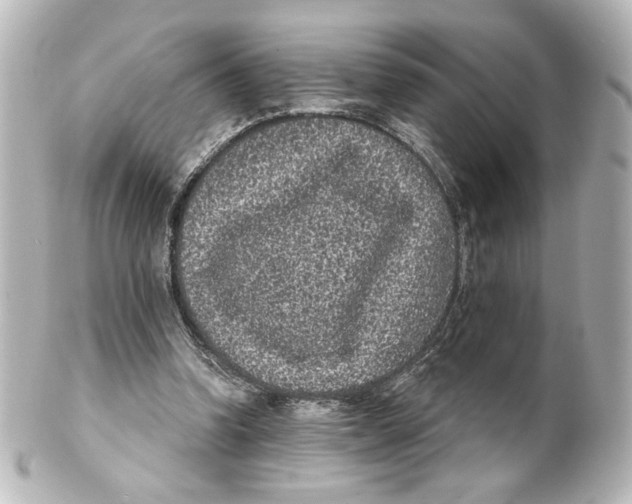 X0000101430346200807281006